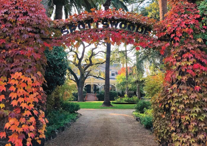 Spottswoode Gate in the fall