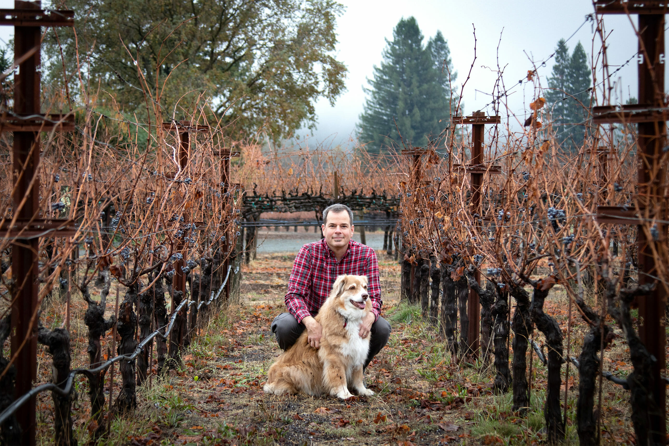Aron Weinkauf with dog in vineyard