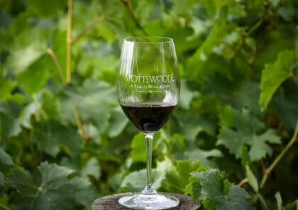 Spottswoode Wine Glass in Vineyard