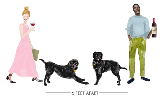 illustration of people and dogs staying 6 feet apart
