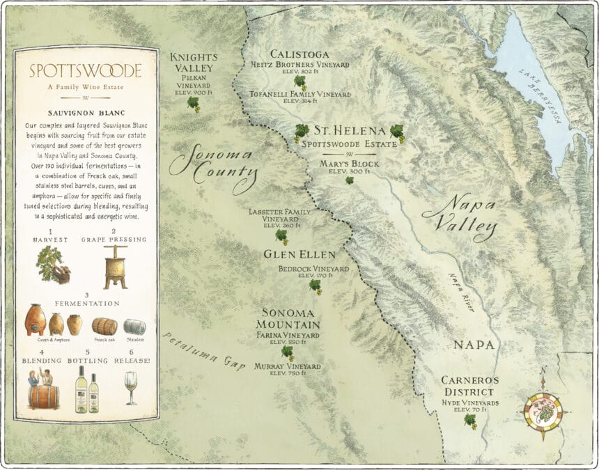 Sauvignon Blanc Map